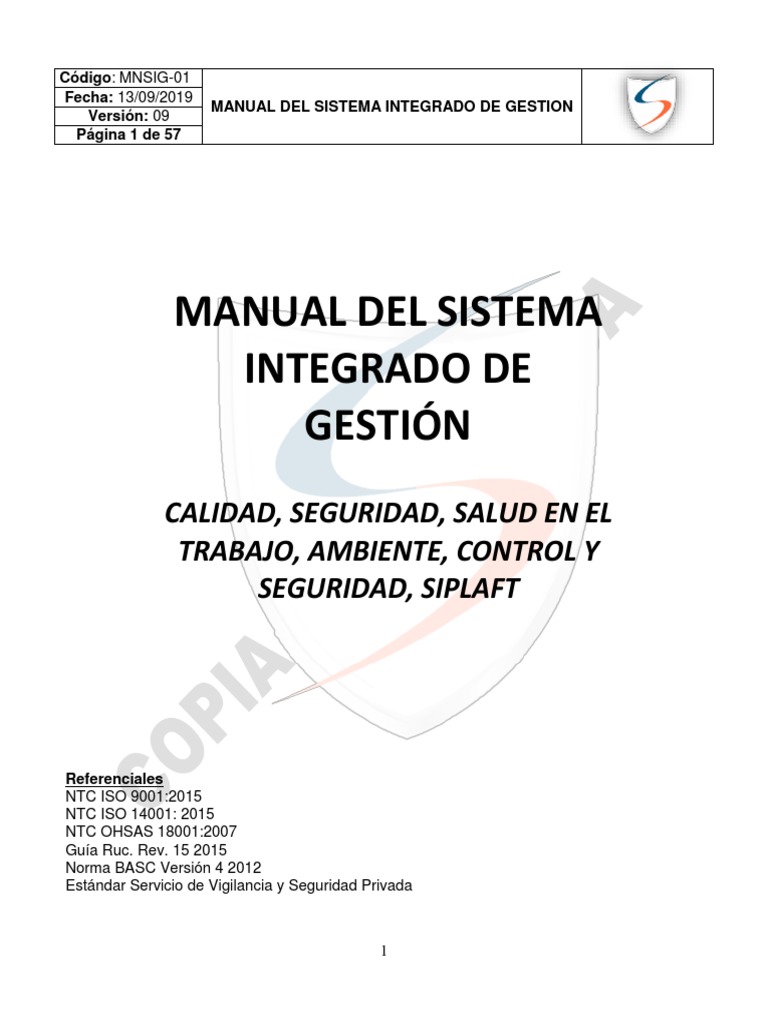 Mnsig-01 Manual Sistema Integrado de Gestion | PDF | Planificación ...