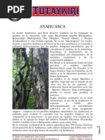 Ayahuasca, Experiencias