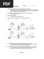 Guided Reading Chapter 16