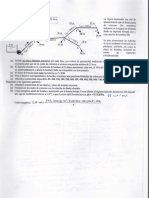 Problemas_ramificadas.pdf