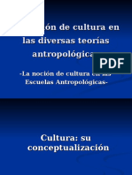 Unidad 1 (B) - La Noción de Cultura en Las Diversas Teorías Antropológicas (2019)