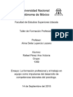 La formación profesional y el trabajo en equipo como impulsores del desarrollo de competencias laborales del psicólogo.