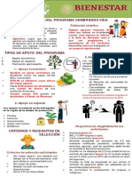 Infografia Sembrando Vida