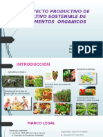 Diapositivas Proyecto Alimentos Organicos