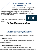 Ciclos Biogeoquíicos (Diap)