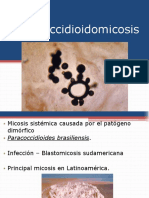 Paracoccidioidomicosis 121227192759 Phpapp01 PDF