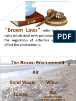 NatRes-ppt-04-Brown-Laws.pdf