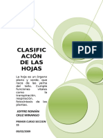 CLASIFICACIÓN DE LAS HOJAS