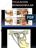 esposicion de anatomia del sistema nervioso