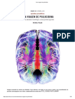 Uma Viagem de Psilocibina - Revista Piaui PDF