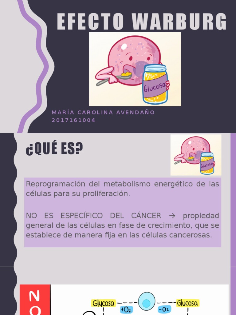 Efecto Warburg PDF