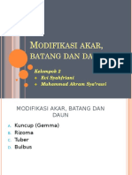 Modifikasi Akar, Batang, Dan Daun