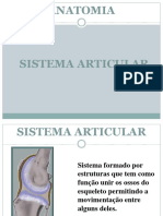 Aula 04 Sist - Articular