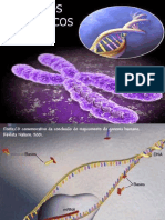 Aula 5 Acidos Nucleicos PDF