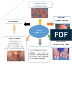 Cadena Epidemiologica Terminada