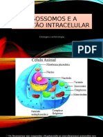 Lisossomos e a Digestão intracelular