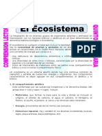 Ecosistema 1