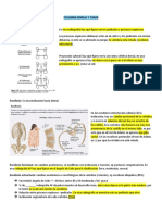 Evaluación Dorsal