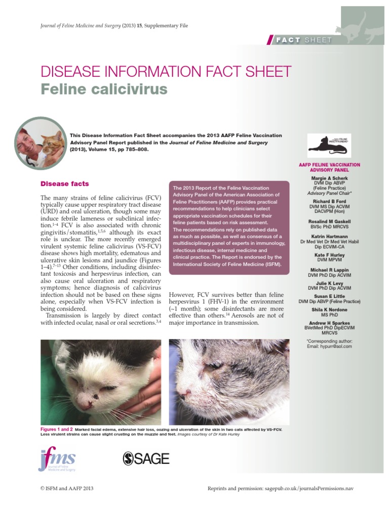 FelineCalicivirus FactSheet PDF | PDF | Vaccines | Public Health