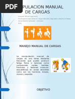 Levantamiento Manual de Cargas e Higiene Postural | PDF | Dolor lumbar ...