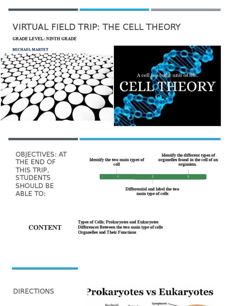 Virtual Field Trip: Cell Theory Overview | PDF | Endoplasmic Reticulum ...