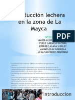 Producción Lechera en La Zona de La Mayca