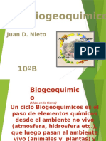 Ciclos Biogeoquímicos