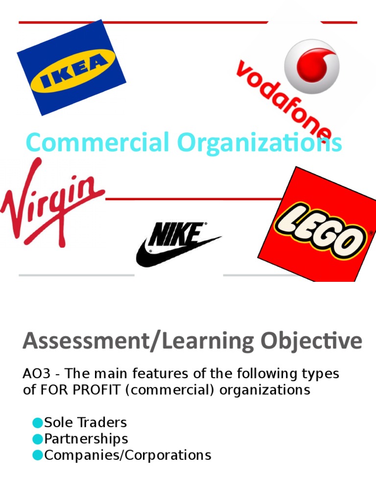 Types of For-Profit Organizations Explained | PDF | Partnership | Sole ...