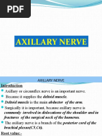 Axillary Nerve