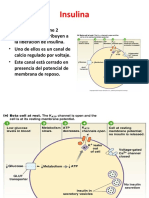 Tratamientoconinsulina 120612114631 Phpapp01