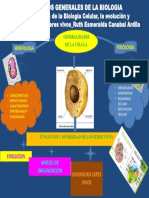 Mapa Mental Principios Generales de La Biologia