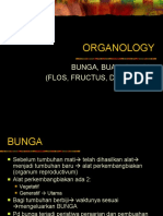 Organologi (Bunga)