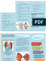 Leaflet CKD