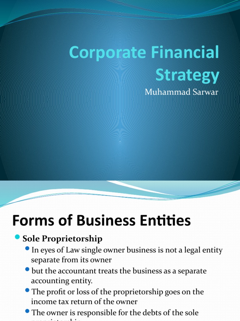Understanding Business Entities and Financial Statements | PDF ...