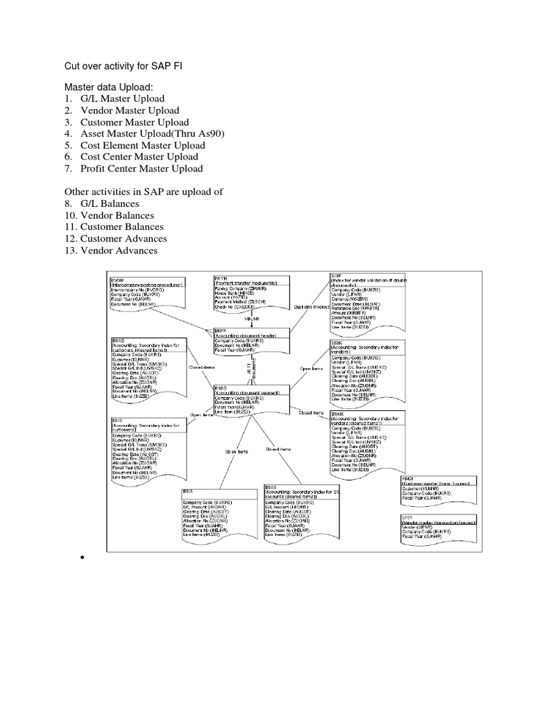 SAP FI Cutover Master Data Uploads | PDF | Computers