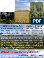 Environmental Science 101: Ecosystem