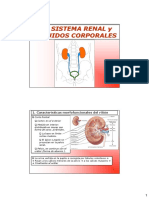 3 II. 10 Sistema Renal