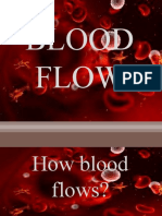 Alex and Kenneth Presentation Blood Flow