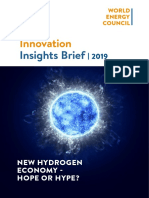 WEInnovation-Insights-Brief-New-Hydrogen-Economy-Hype-or-Hope