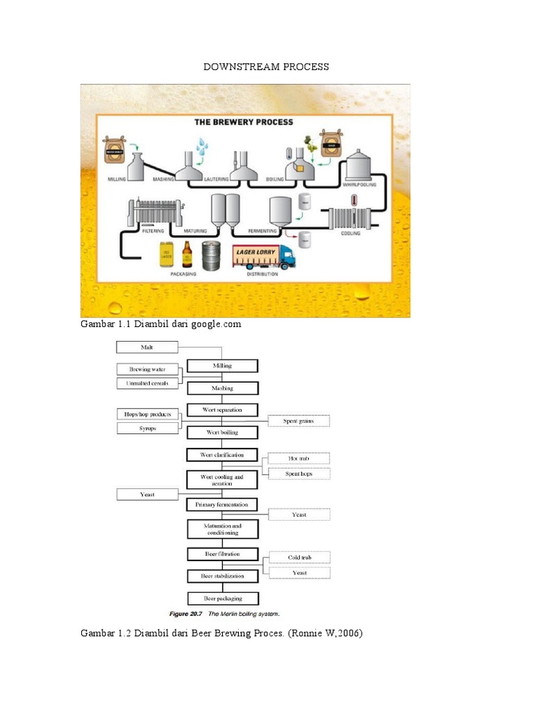 Proses Downstream dalam Fermentasi | PDF