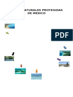 AREAS NATURALES PROTEGIDAS DE MEXICO mapa mental