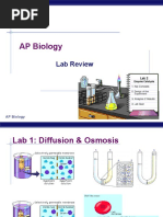 Download AP Biology Lab Review by Paweenwat Thongprasop SN45733198 doc pdf
