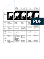 Royal Canin Body Condition Score Charts | PDF | Abdomen | Pelvis