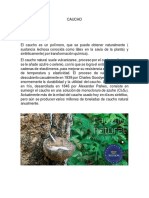 Caucho PDF