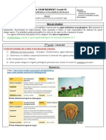 TP Confinement PDF