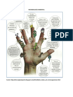 Microbiología Ambiental