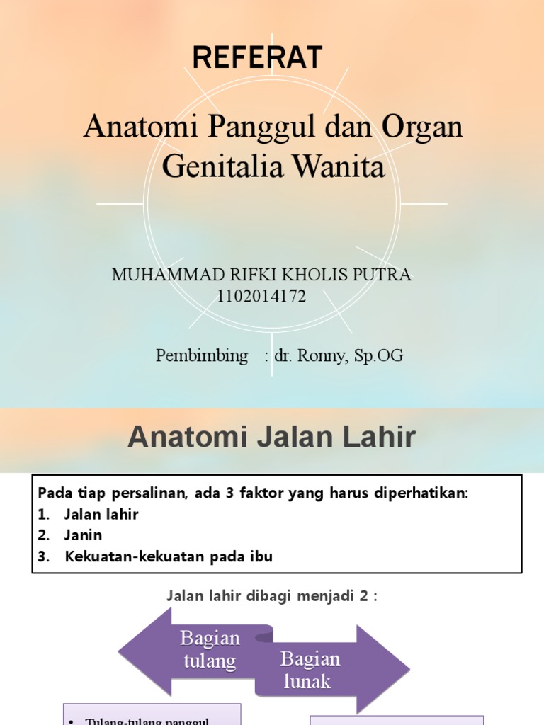 Anatomi Obgyn | PDF
