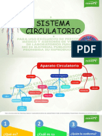 Instructivo Sistema Circulatorio