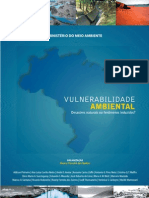 Vulnerabilidade Ambiental e Desastres