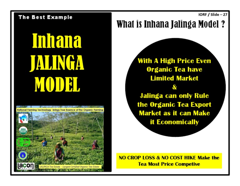 Jalinga Model: Competitive Organic Tea Export | PDF